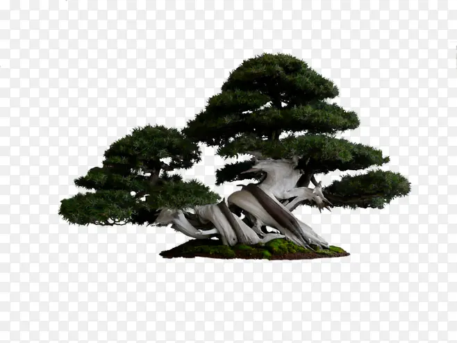 ӭ���� ��-������