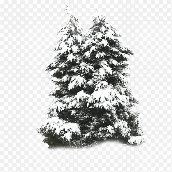 ѩ��-������