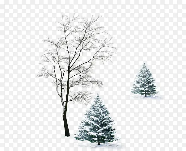 ��-������