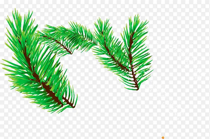 ����ʻ�������֦ʸ������ʢ��ҵ-������