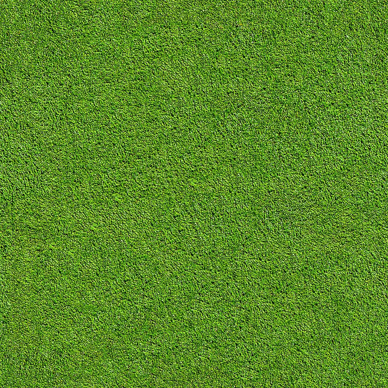 ��ɫ��ƺ����-������