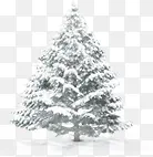 ������Ӱ�ϳ�ʥ��������-������