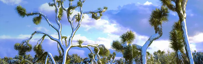 ����ѩ����Ӱbanner��ֽ-������