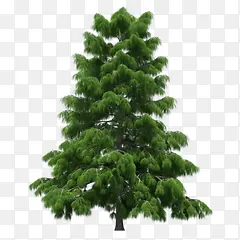 ����png�ز�-������