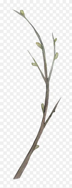 �ֻ�ֲ�ﻨ��-������