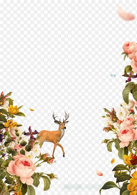 ��ͨ�ֻ滨����¹-������