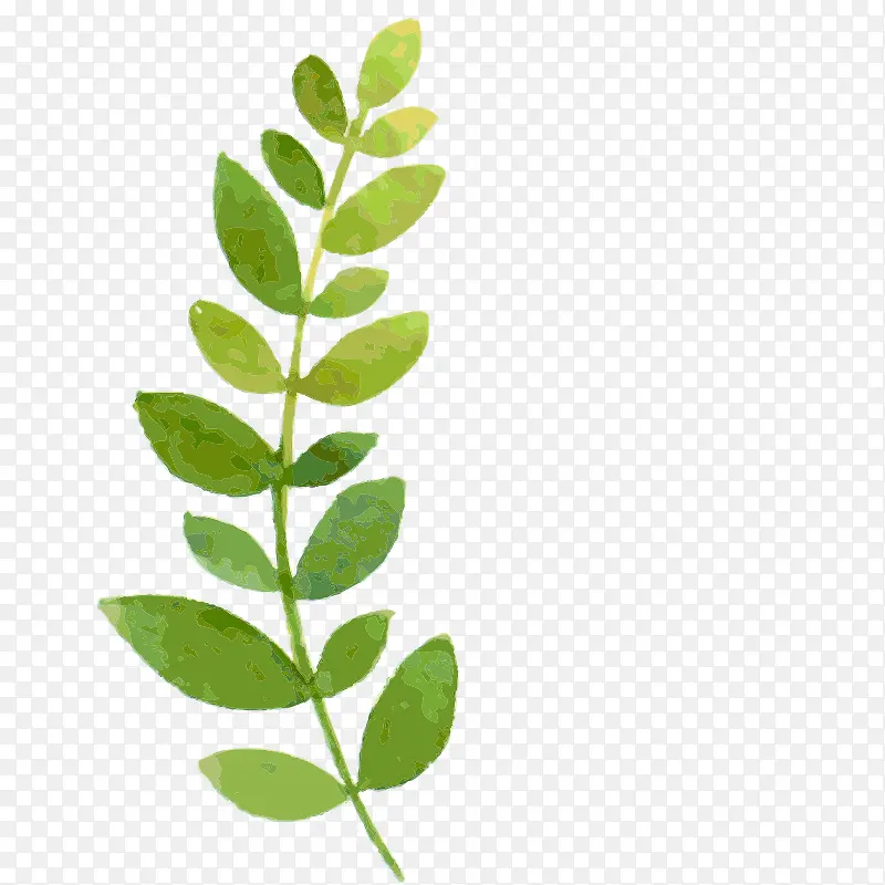 ˮ�ʻ� ֲ��  ���� �ֻ� ��Ҷ-������