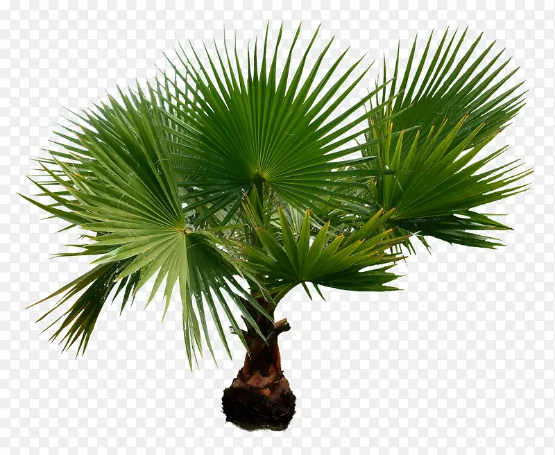 ��-������