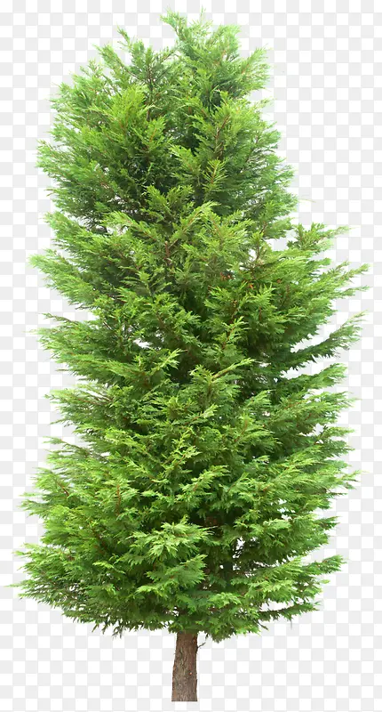 ��-������