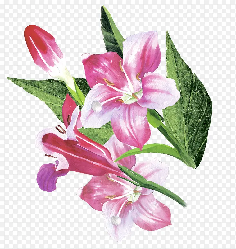 �ֻ�ֲ�ﻨ��-������