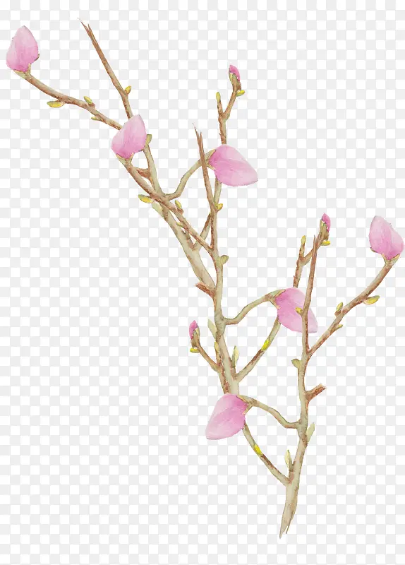 �ֻ�ֲ�ﻨ��-������