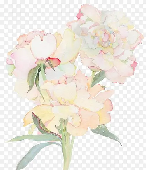 ˮ�ʻ���-������