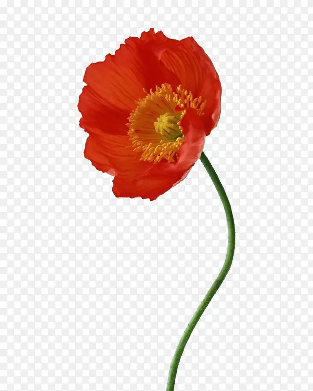 ��ɫ��Լˮ�ʻ�-������