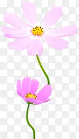 ��ɫʱ�е��Ż���-������