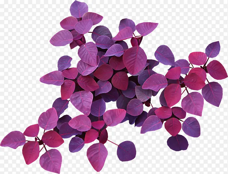 ����-������