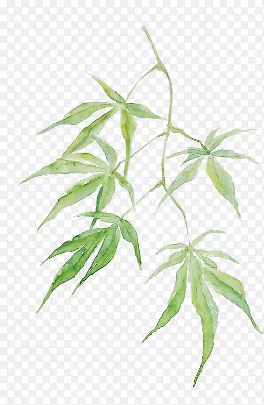 Ư����Ҷ-������