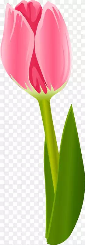 ����ֲ��������ٺϿ�������-������