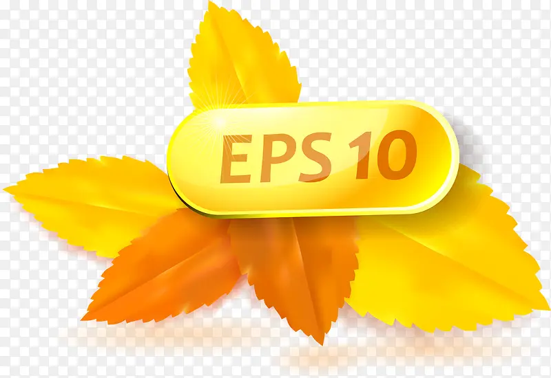 Ҷ�Ӱ�ť-������