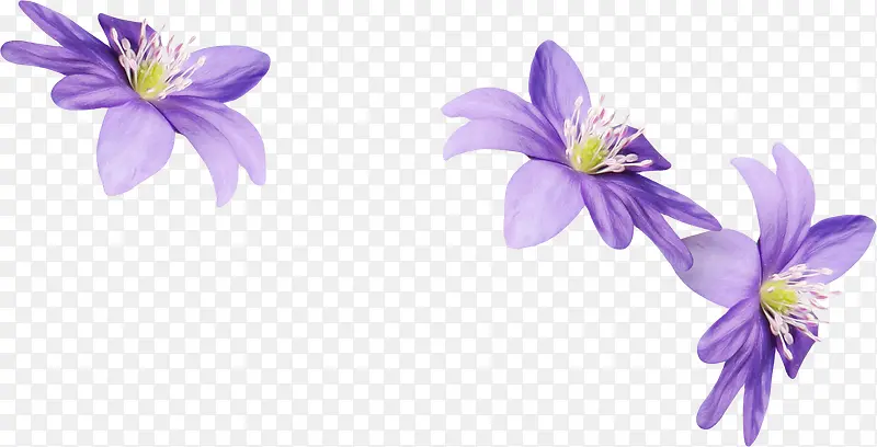 ��ͨװ���ز���԰��ͼ��-������