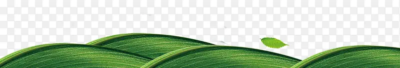 ��ͨ�ֻ���ɫ����-������