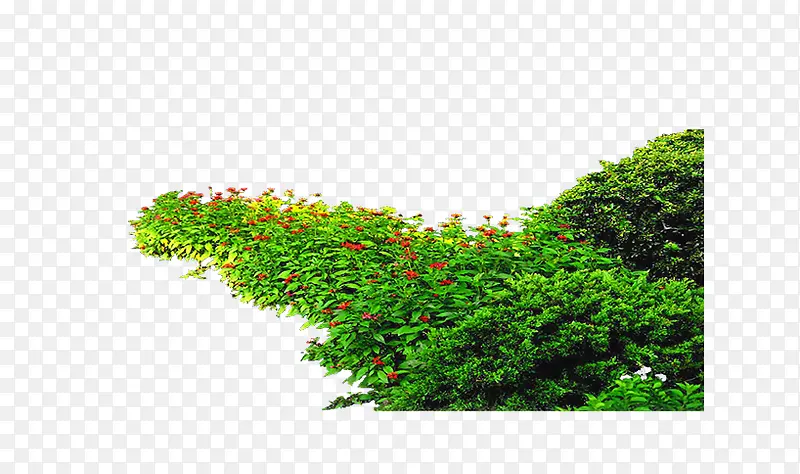 ��ɫï�ܵ�����-������