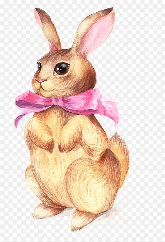 ��ͨ�ɰ�С����װ�ζ���ͷ��-������