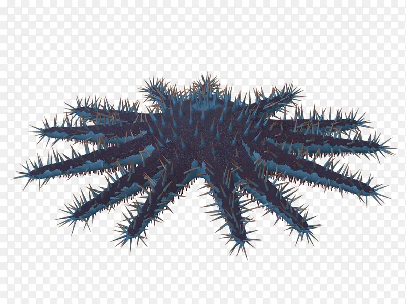 ���⺣��-������