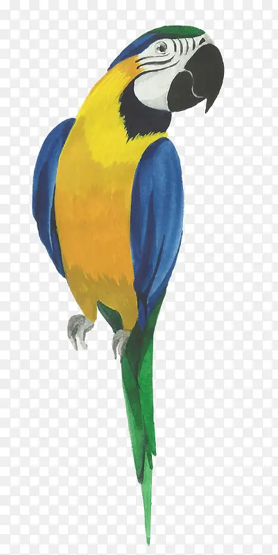 ��ͨ�ɰ�С����װ����ƶ���ͷ��-������