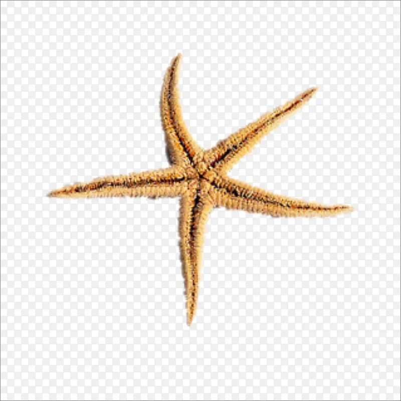 ����-������