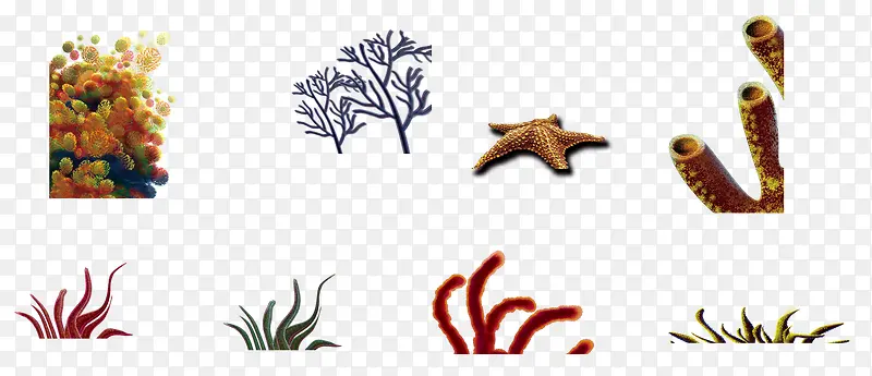 ���׺���-������