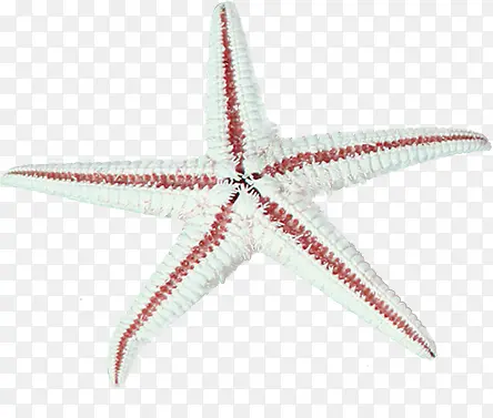 ��ɫ�����ز�-������