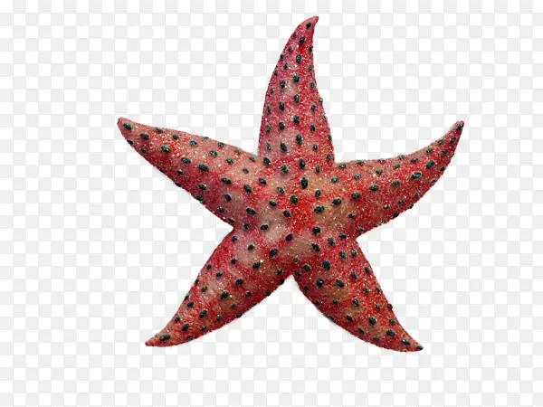 ��ɫ�ڵ㺣��-������