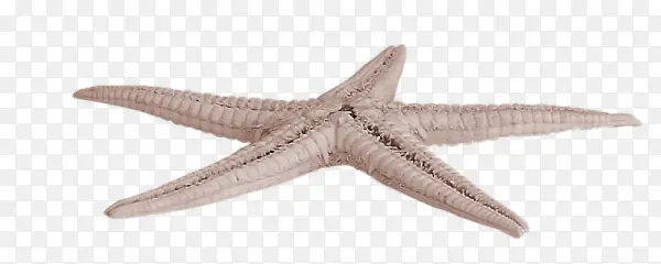 ���Ƕ���-������