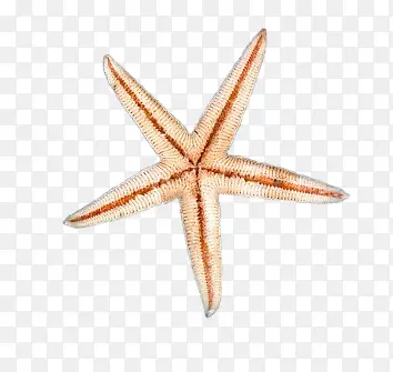 ����png�ز�-������