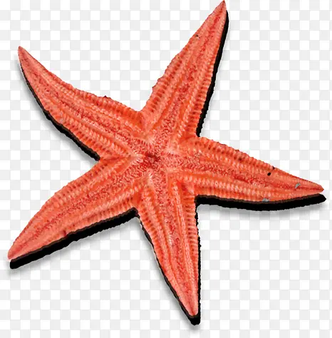 ��ɫ�ɰ���ͨ����-������