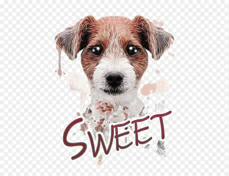 ���۵�С��-������