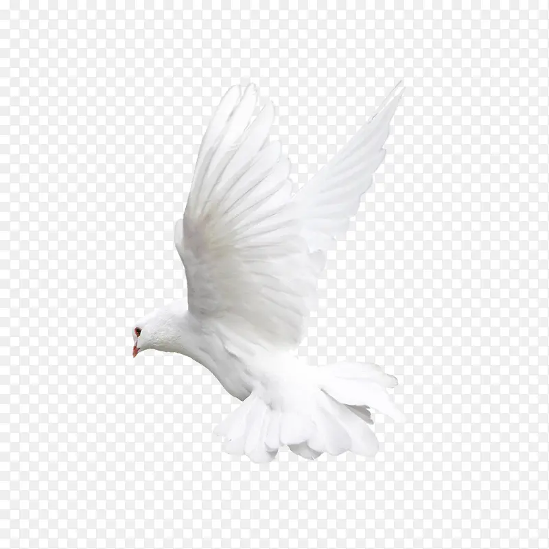 ��ɫ���Ӳ���-������