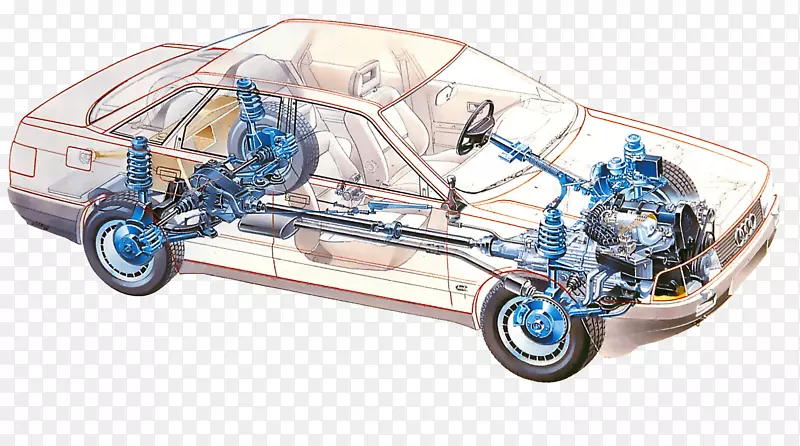 �����µ��������������㲿��-������