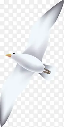 �ֻ����հ�ɫ����-������