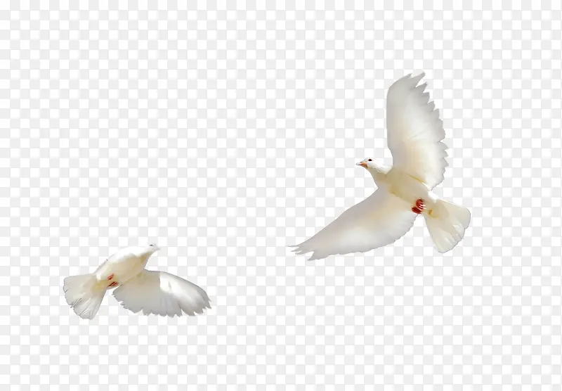 ��ɫ����-������