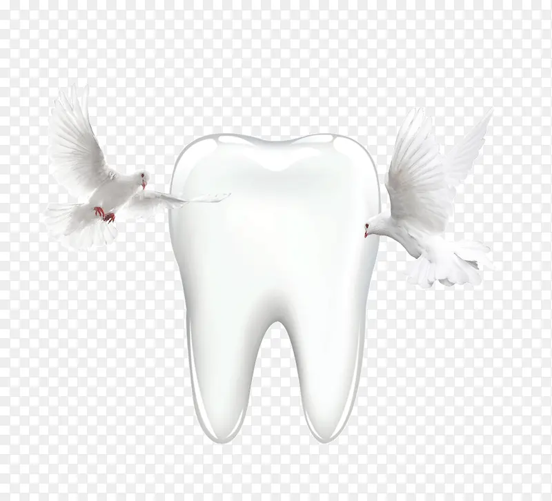 �����������-������