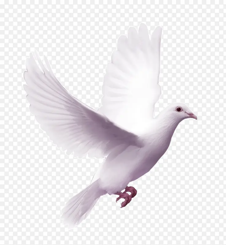 �ſ����ĸ���-������