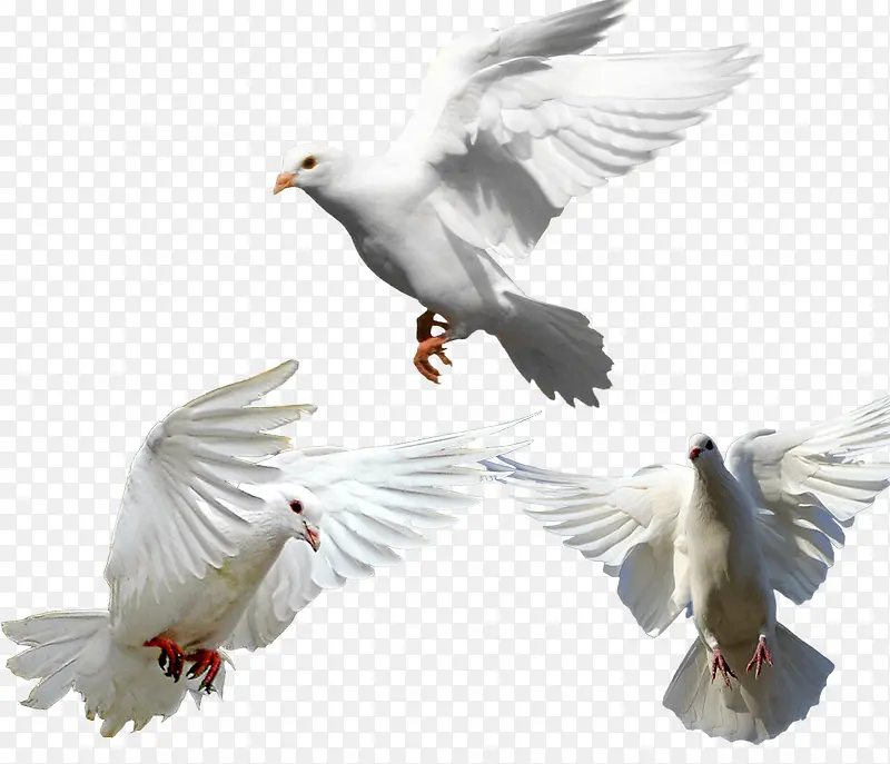 ��������ز�-������