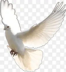 ������ĸ���-������