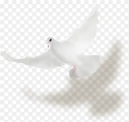 ��ɫ����-������