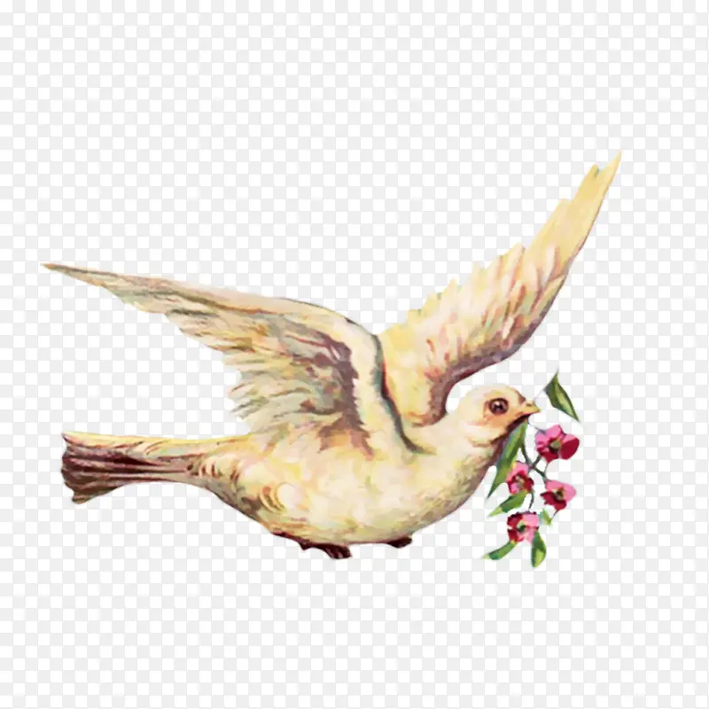 ����-������