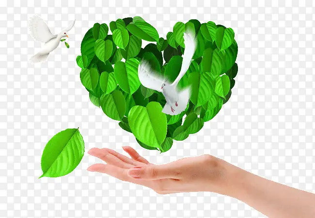 ���Ĺ�����Ҷ-������