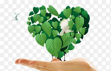 ���Ĺ�����Ҷ-������