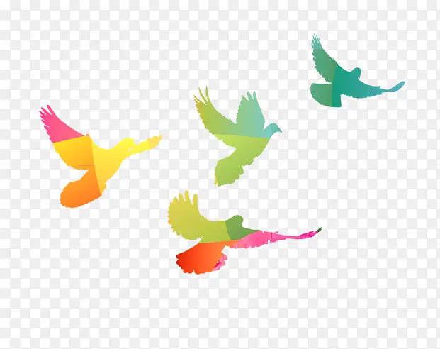 ��ɫ����-������