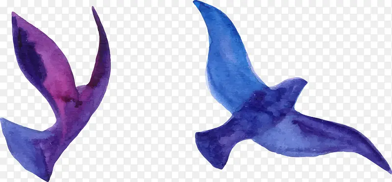 ˮ�ʸ���ʸ��-������